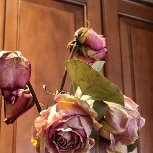 Meet your Posher, Bonnie